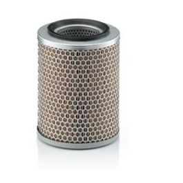 Filtro Aire Principal