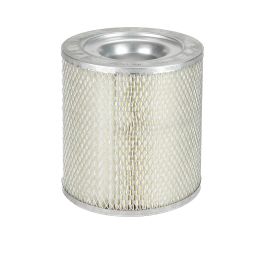 Filtro Aire Principal