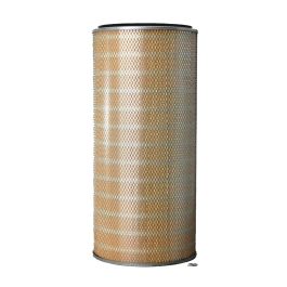 Filtro Aire Principal