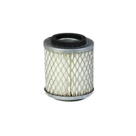 Filtro Aire Principal