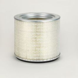 Filtro Aire Principal