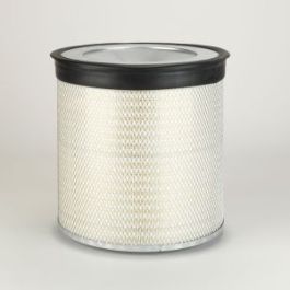 Filtro Aire Principal