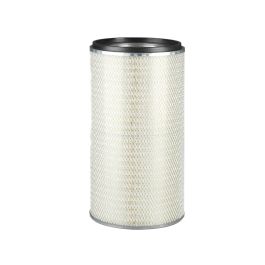Filtro Aire Principal