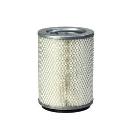 Filtro Aire Principal