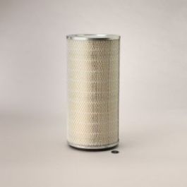 Filtro Aire Principal