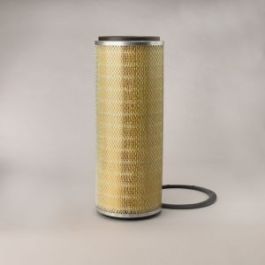 Filtro Aire Principal