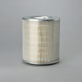 Filtro Aire Principal