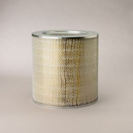 Filtro Aire Principal