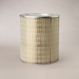 Filtro Aire Principal