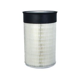 Filtro Aire Principal