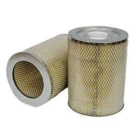 Filtro Aire Principal