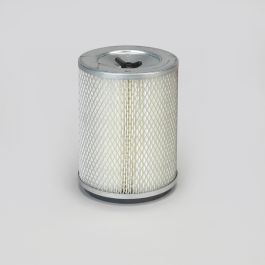 Filtro Aire Principal