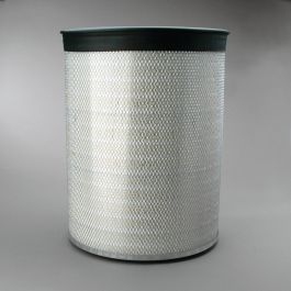 Filtro Aire Principal