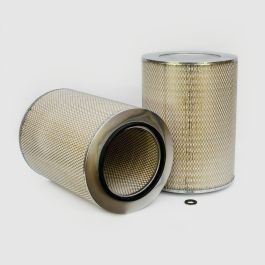 Filtro Aire Principal