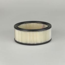 Filtro Aire Principal