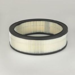 Filtro Aire Principal