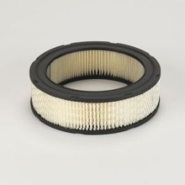 Filtro Aire Principal