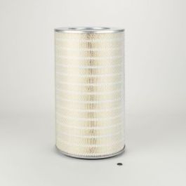 Filtro Aire Principal