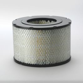 Filtro Aire Principal
