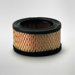 Filtro Aire Principal