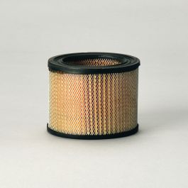 Filtro Aire Principal
