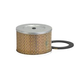 Filtro Aire Principal