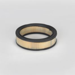 Filtro Aire Principal