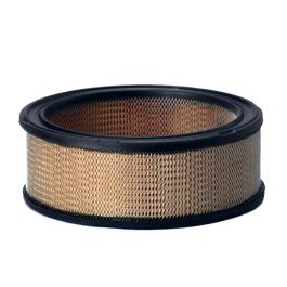Filtro Aire Principal