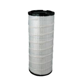 Filtro Aire Principal