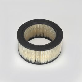 Filtro Aire Principal