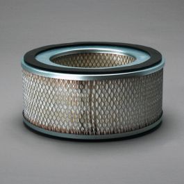 Filtro Aire Principal