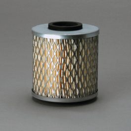 Filtro Aire Principal