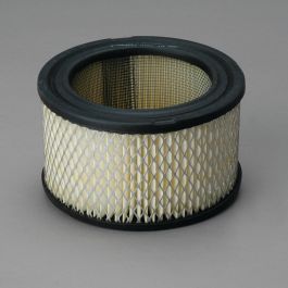 Filtro Aire Principal