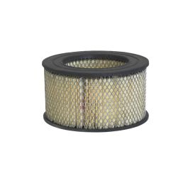 Filtro Aire Principal