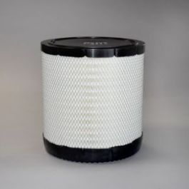 Filtro Aire Principal