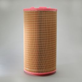 Filtro Aire Principal