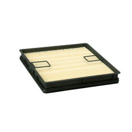 Filtro Aire Seguridad