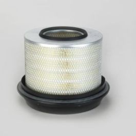 Filtro Aire Principal