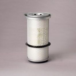 Filtro Aire Principal