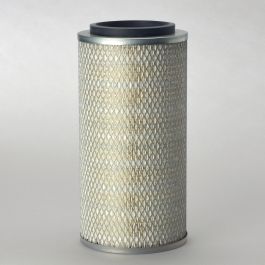 Filtro Aire Principal