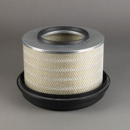 Filtro Aire Principal