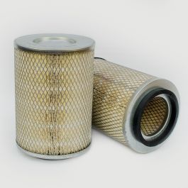 Filtro Aire Principal