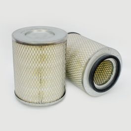 Filtro Aire Principal