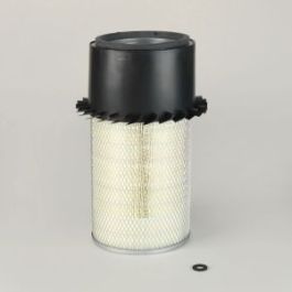 Filtro Aire Principal