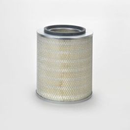 Filtro Aire Principal