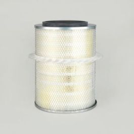 Filtro Aire Principal