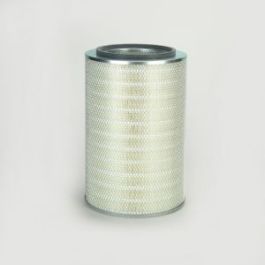 Filtro Aire Principal