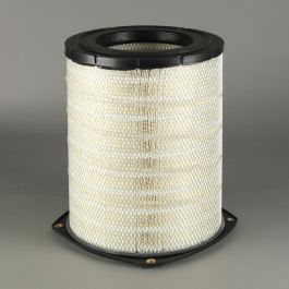 Filtro Aire Principal