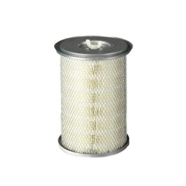 Filtro Aire Principal