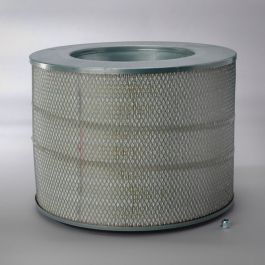 Filtro Aire Principal